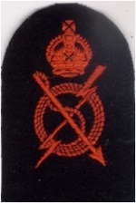 Royal Cdn Navy HYGIENE ASSISTANT Trade Badge-Red/Blue 